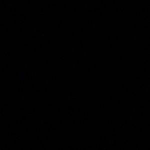 Meet your Posher, Camille